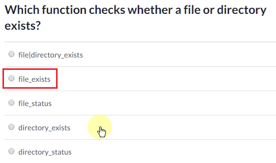 Which function checks whether a file or directory exists?
